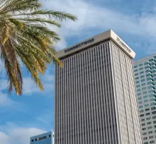 The ConnectWise tower in Tampa, Florida, photographed against a blue sky with a palm frond in the foreground.