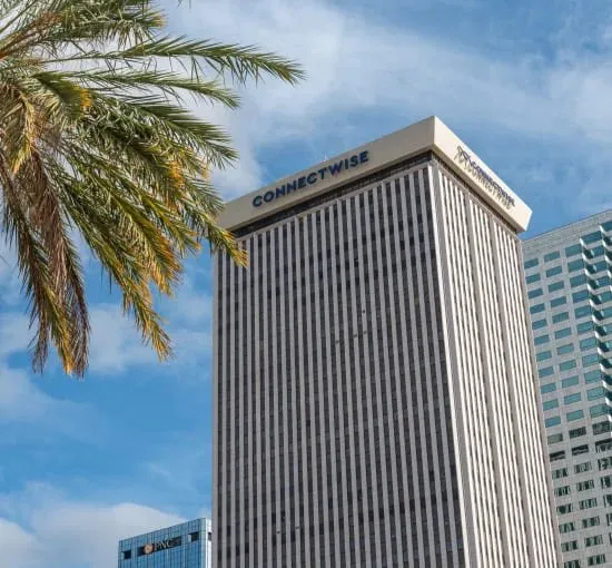The ConnectWise tower in Tampa, Florida, photographed against a blue sky with a palm frond in the foreground.